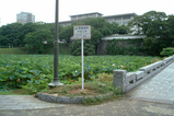 避難場所 舞鶴公園