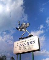 23c25b87.jpg