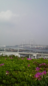 8b22d65c.jpg
