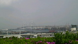95234f88.jpg