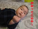 ����ʡ���ɱ���ޡ���˽�ʡ�����(^-^;)
