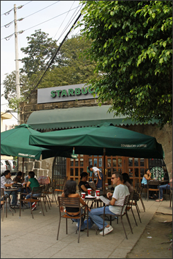 starbucks1