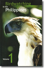 birdwatching in the philippines