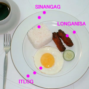 LOGSILOG.L