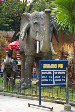 zoo 1