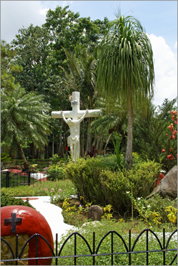 cross2