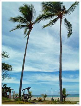 kalibo