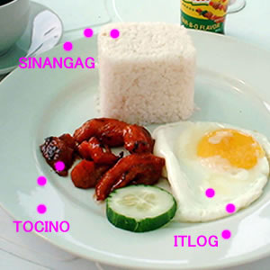 TOSILOG.L