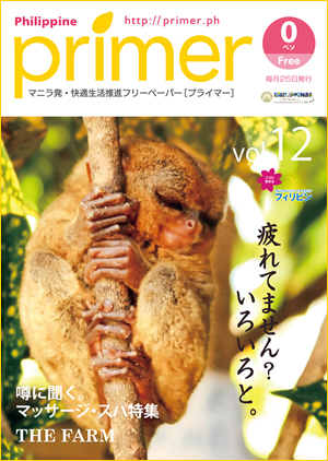 primer vol.12