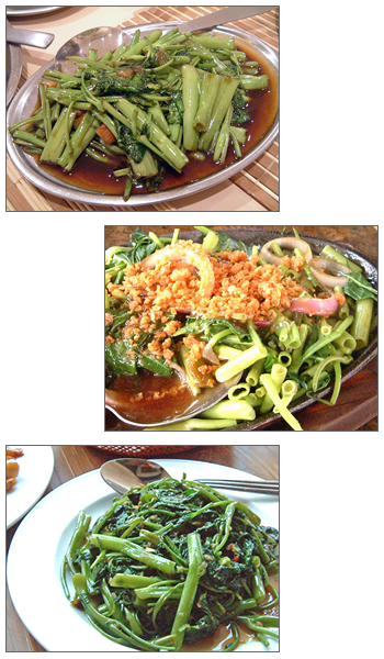 kangkong2