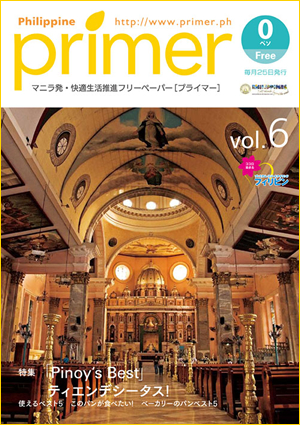 primer vol.6