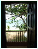 sampaguita1