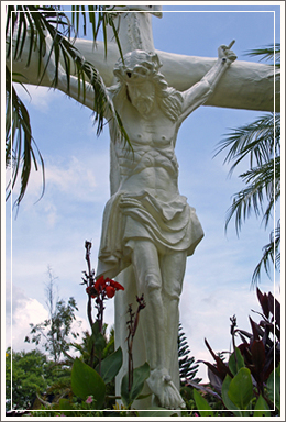 cross1