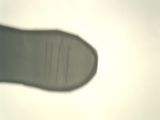 a84568b2.JPG