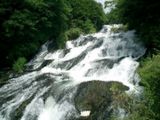 f00e6116.jpg
