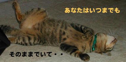 ¤½¤Î¤Þ¤Þ¤Ç¤¹¤