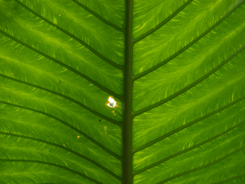 ÇÁ¤·ê