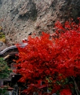 古岩屋寺(愛媛県 久万高原)