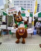 �³������Ҥ�@B�饰��Ღ��������������