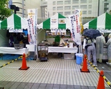�³������Ҥ�@B�饰��Ღ��������
