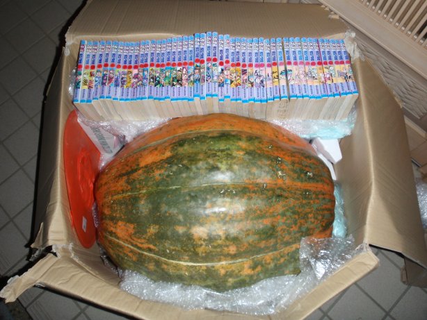 Pa230448