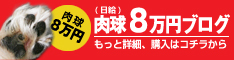 バナーリンク
