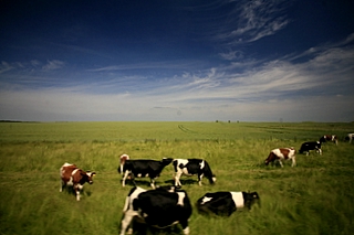 2006_06_16_��