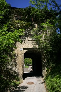 2006_05_08_森に埋もれた門