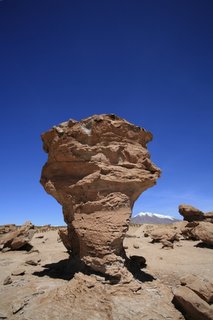 2006_03_08_��