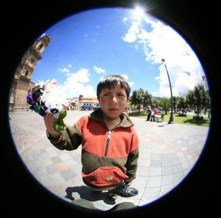 2006_03_19_魚眼少年アップ