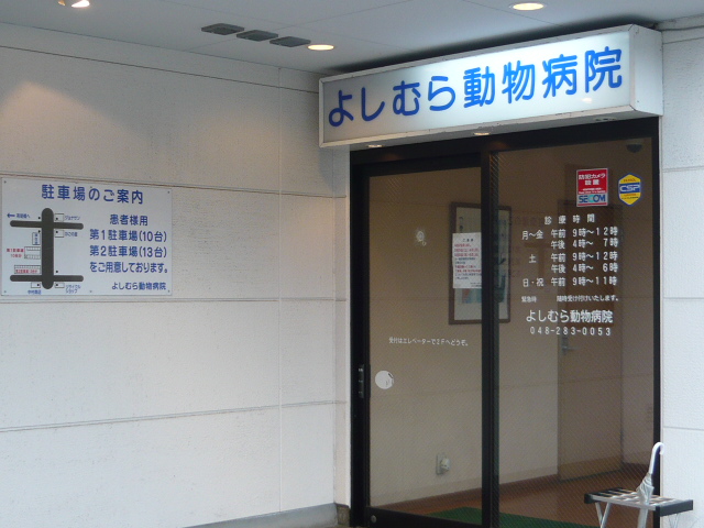 �褷���ưʪ�±�ȷ��ë����