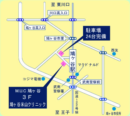 鳩ヶ谷米山クリニック(鳩ヶ谷市里)2