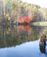 fall
