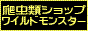 �磻��ɥ�󥹥���
