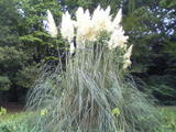 f3d22311.JPG