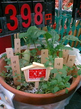 七草2