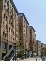 459295f4.jpg