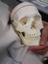 1c4e0728.jpg