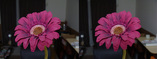 93364a6a.jpg