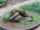 0f66c207.jpg