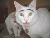 a922c93b.jpg