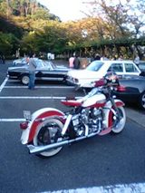 d60a8f76.jpg
