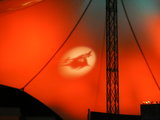 Halloween(1)