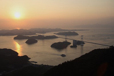 img_1656880_23239494_2
