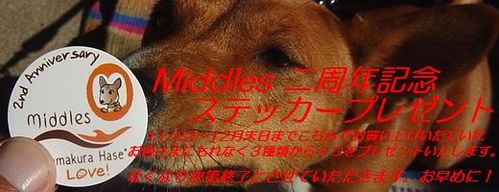 Middles�����ƥå������å�