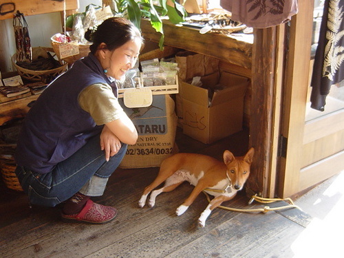 tinga