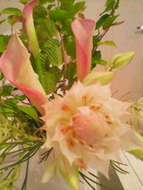 570915ac.jpg