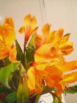 5ec0a030.jpg