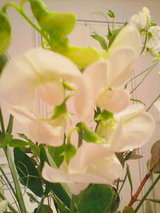 873622f0.jpg