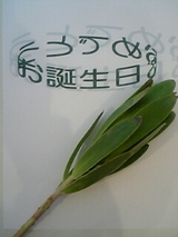 a86e4d3b.jpg